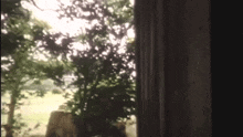 a blurred image of a window with trees visible