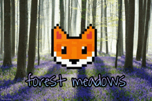 a pixel art of a fox in a forest with the words forest meadows