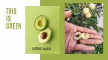 a picture of an avocado and a picture of a hand holding an avocado on a green background that says this is green