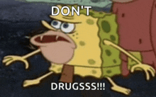 a cartoon of spongebob saying do n't drugsss !!!