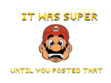 a cartoon of mario with the words " it was super until you posted that " below him