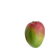 a close up of a green and red apple against a white background