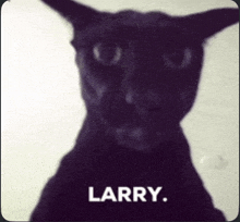 a black cat with the name larry on the bottom right