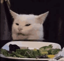 a cat is sitting at a table looking at a plate of food .