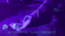 a purple background with the words apokalyptik / slime / sindikate written on it