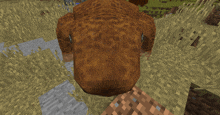 a close up of a frog in a minecraft world