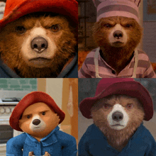 a collage of four bears including paddington