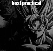 a black and white image of a dragon ball z character with a caption that says `` host practical ''