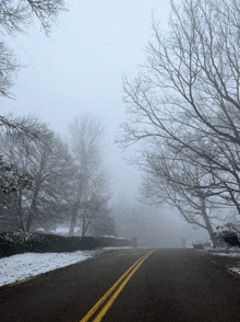 a foggy road with trees on both sides