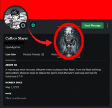 a screenshot of a catboy slayer 's profile with a red arrow pointing to the send message button