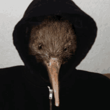 a kiwi bird is wearing a black hoodie