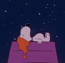 a cartoon of snoopy laying on top of a purple box looking at the stars