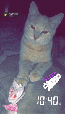 a cat laying on a blanket with a sticker that says sleep