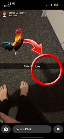 a phone screen shows a rooster with a red arrow pointing at it