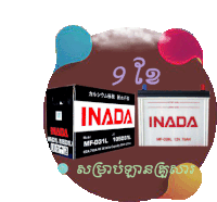 a box of inada batteries sits on a brown background