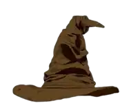 the sorting hat from harry potter is a brown hat with a long nose .