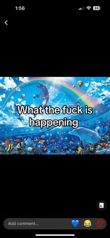 a picture of dolphins swimming in the ocean with a rainbow and the words what the fuck is happening