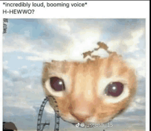 a close up of a cat 's face with a roller coaster coming out of its head .