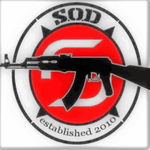 a s.o.d. established in 2010 logo with a rifle in the center .