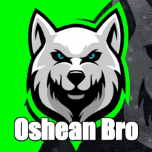 a picture of a husky with the name oshean bro