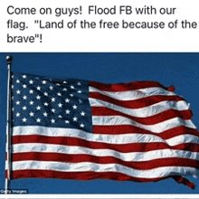 a picture of an american flag with the caption " come on guys flood fb with our flag "