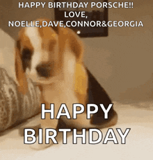 a dog is sitting on a bed with the words happy birthday porsche written above it