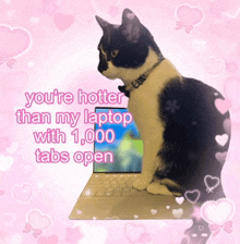 a black and white cat sitting on top of a laptop with a message that says you 're hotter than my laptop