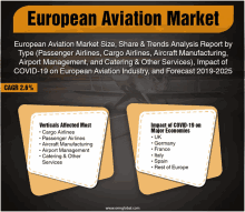 european aviation market size share & trends analysis report by type passenger airlines