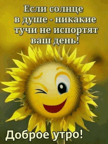 a picture of a sunflower with a smiley face on it in russian