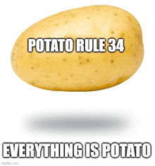 a potato that says potato rule 34 everything is potato on it