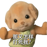 a teddy bear with chinese characters on it