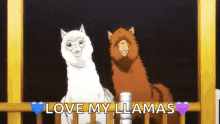 a couple of llamas standing next to each other with the words love my llamas written below them