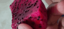 a person holding a slice of dragon fruit in their hand