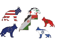 a group of animals with different flags on their bodies