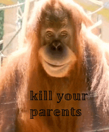 a picture of a monkey with the words kill your parents on it