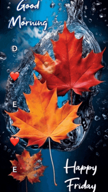 a poster that says good morning and happy friday with leaves in the water