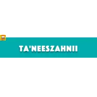 a blue and white banner that says ta ' neeszahnii