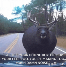 a picture of a deer on a road with a caption that says " get off your phone boy