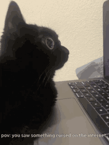 a black cat sitting in front of a laptop with a caption saying you saw something cursed on the internet