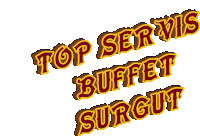 a logo for top servis buffet surgut is shown