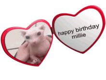 a heart shaped mirror with a picture of a hairless cat and the words happy birthday millie