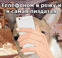 a person is holding a cell phone in front of a dog in a room .