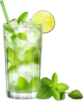 a glass filled with ice and mint leaves with a green straw