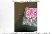 a picture of a bag full of pink frogs and a brown frog in a lego set