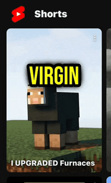 a picture of a minecraft sheep with the words virgin on it