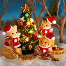 a group of stuffed animals dressed in santa outfits are standing around a christmas tree