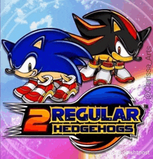 sonic the hedgehog and shadow the hedgehog are featured on a poster for a video game called 2 regular hedgehogs