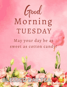 a good morning tuesday message with cotton candy on a pink background