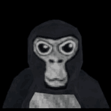 a black and white drawing of a gorilla with big eyes and a hood on a black background .