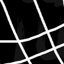 a black and white grid with white lines on a black background